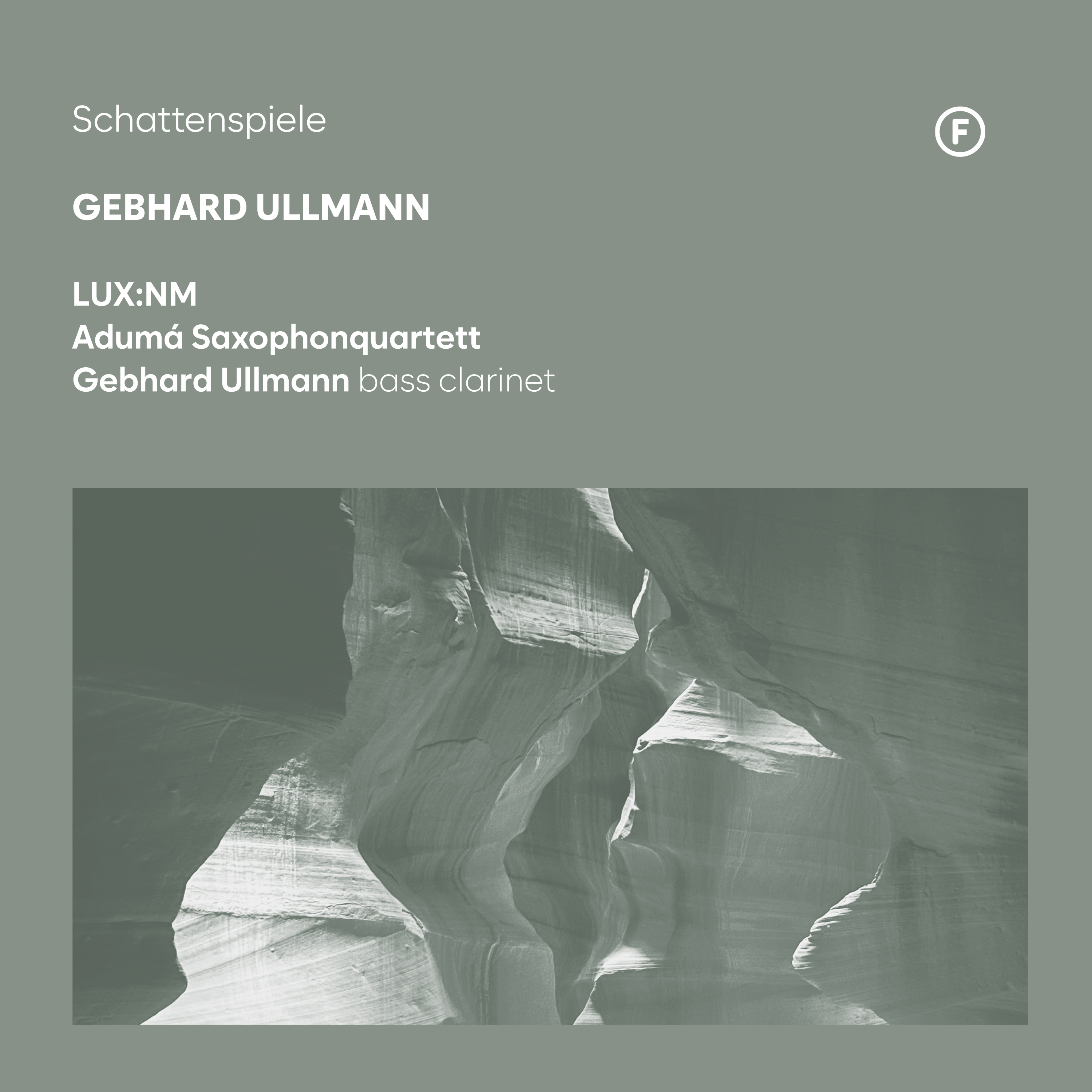 Cover: Schattenspiele