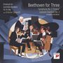 Cover: Symphonie Nr.3 (Version für Klavierquartett)