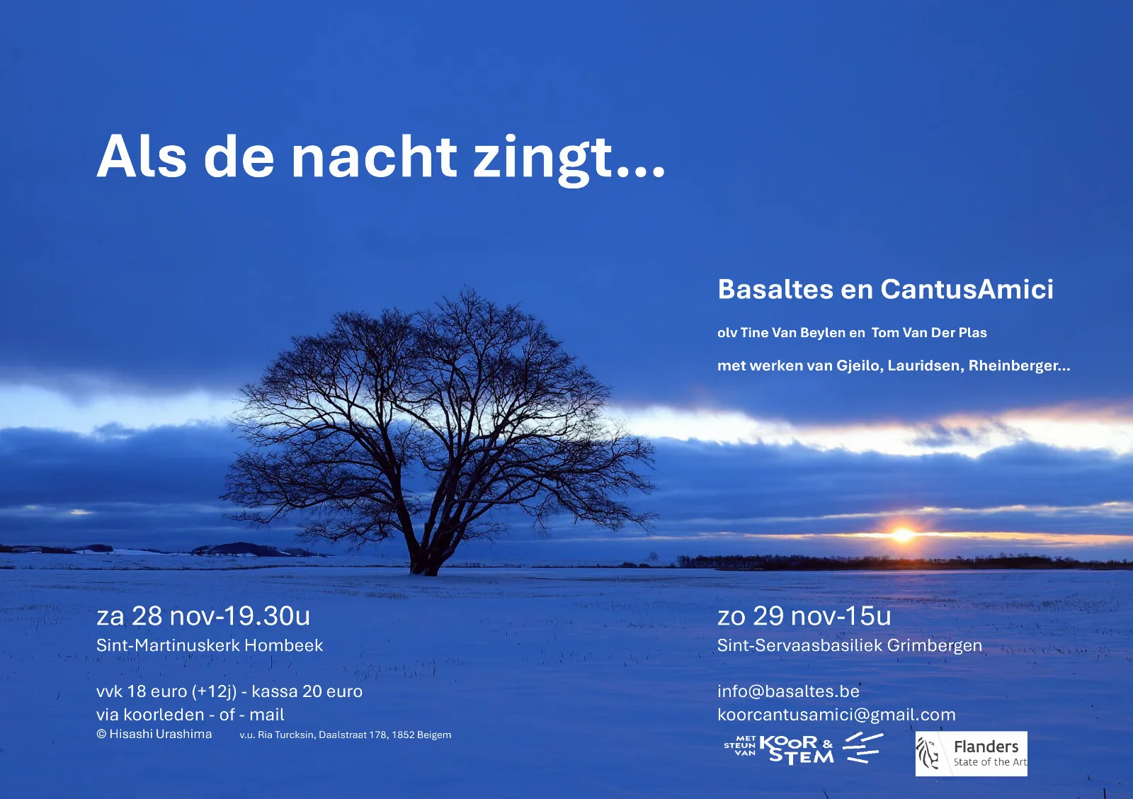 Affiche of sfeerbeeld van Als de nacht zingt ...