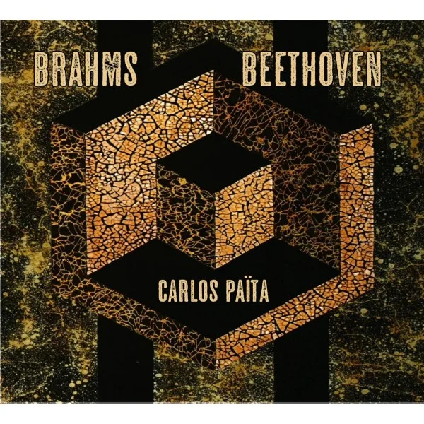 Beethoven en Brahms op het scherpst van de snede