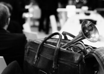 Een vaderland in klank – Anima Eterna Brugge & Václav Luks eren Smetana